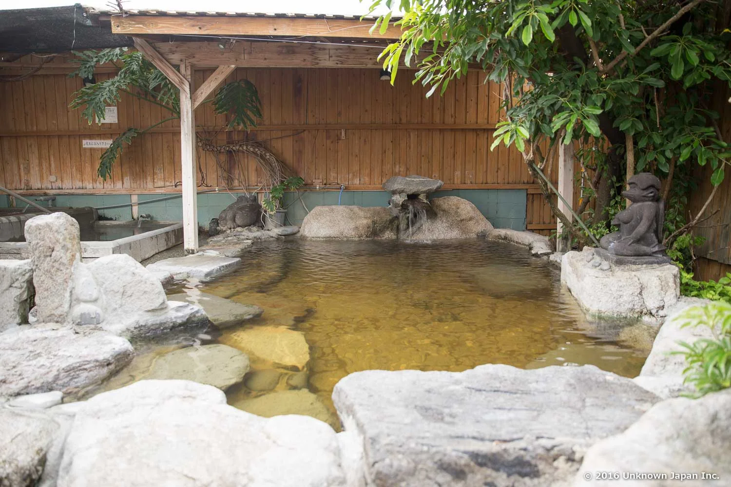 Okawa Onsen Kihada Bijin 